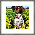 Millie In Mustard Framed Print