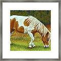 Mini Mare Pastel Framed Print