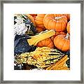 Mini Pumpkins And Gourds Framed Print