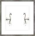 Minimalist Swans In Black And White Framed Print