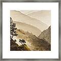 Misty Hills Framed Print