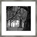 Misty Walk Through The Oak Trees Framed Print