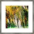 Misty Weeping Willow Tree Dreams Framed Print