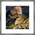 Moby Dick Framed Print Moby Dick Framed Print