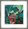 Molly's Umbrella Framed Print