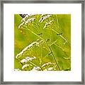 Monarch And Bee Framed Print