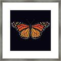 Monarch Butterfly Bedazzled Framed Print