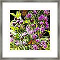 Monarch Butterfly Couple Framed Print