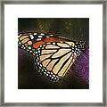 Monarch Butterfly Framed Print