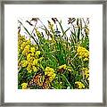 Monarchs At East Point Lighthouse Framed Print
