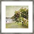 Monet's Tree Framed Print