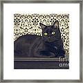 Mongo The Robust Cat Framed Print