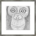 Monkey Portrait Framed Print
