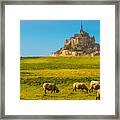 Mont St-michel Framed Print