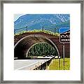 Montana Highway - #2 Animals' Bridge Framed Print