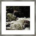 Montana River Rapids Framed Print