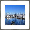 Monterey-7 Framed Print
