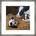 Mooeow Framed Print