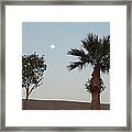 Moon Over Baja Desert Framed Print