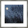 Moon Over Trees Framed Print