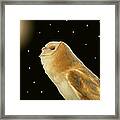Moon Owl Framed Print