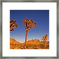 Moon Sun And Joshua Trees Framed Print