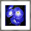 Moonglow On Blue Framed Print