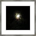 Moonlight Through The Apple Tree Framed Print