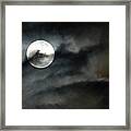 Moonlit Dreams Framed Print