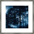 Moonlit Night Framed Print