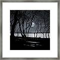 Moonlit Stroll Framed Print