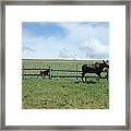 Moose On The Move Framed Print