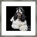 Mori The Dog Framed Print