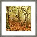 Morning Fog In The Palatinate Forest Framed Print