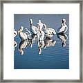 Morning Groom Framed Print