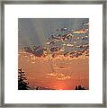 Morning Rays Framed Print