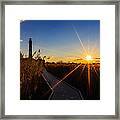 Morning In  The Marsh Framed Print