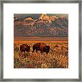 Morning Travels In Grand Teton Framed Print