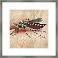 Mosquito Biting Hand Framed Print