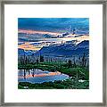 Mosquito Paradise Framed Print