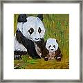Mother And Baby Panda Framed Print
