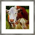 Mother Cow And Baby Calf Framed Print