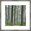 Mount Jim - Kinsman Notch New Hampshire Framed Print