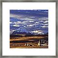Mount Kailash And Chiu Gompa - Tibet Framed Print
