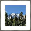 Mount Rainier Evergreens Framed Print