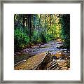 Mountain Stream N.c. Framed Print