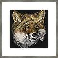 Mr. Red Fox Framed Print