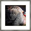 Ms.priss Framed Print