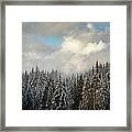 Mt Hood Forest Oregon Framed Print