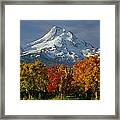 1m5117-mt. Hood In Autumn Framed Print